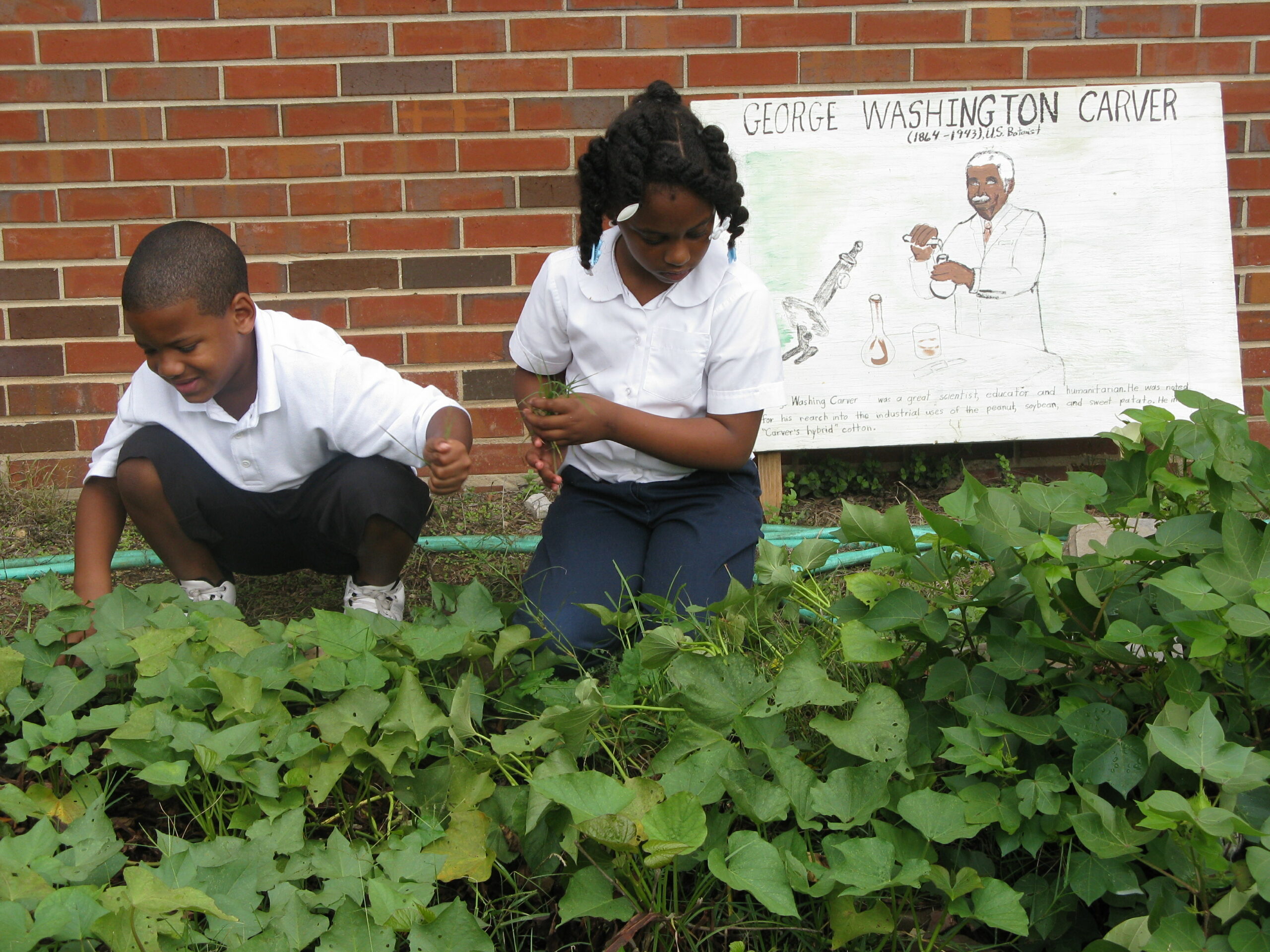 George Washington Carver Garden Sign