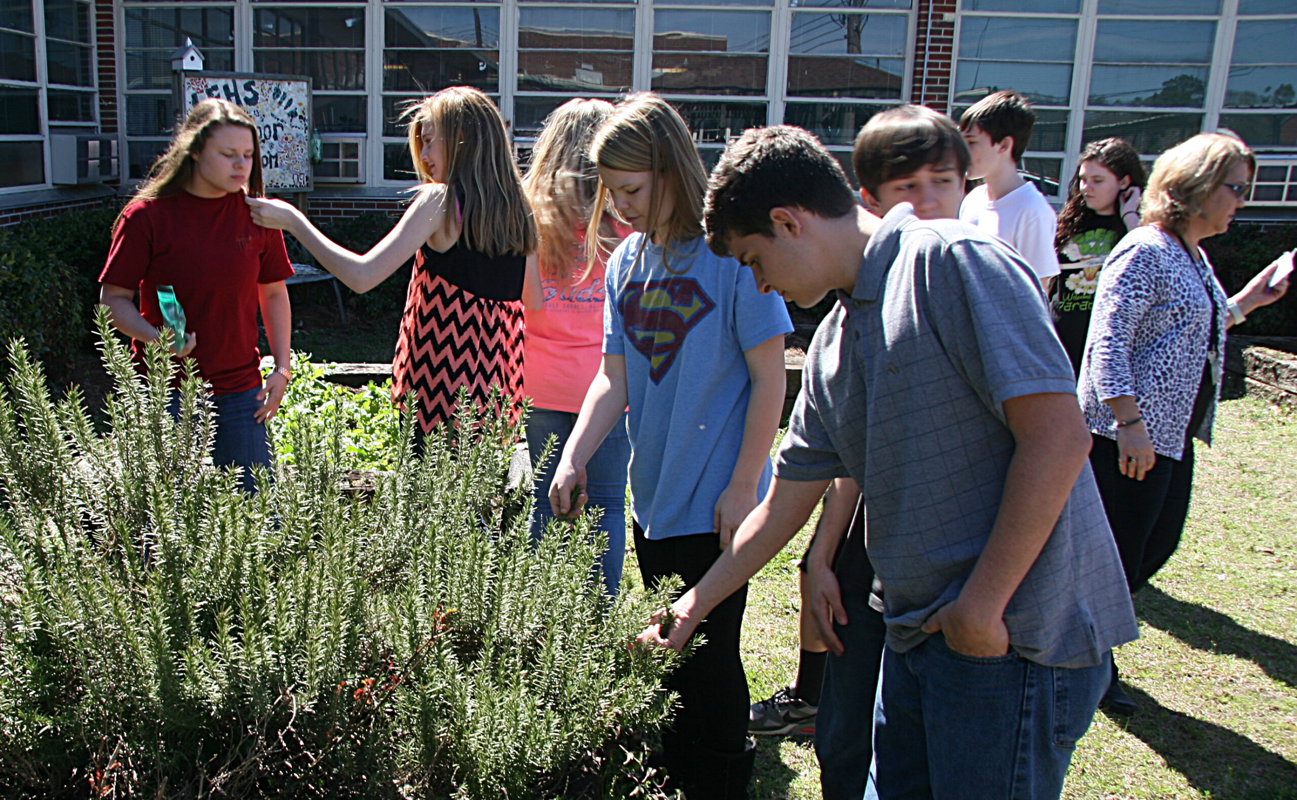 Locust Fork High Sensory Garden